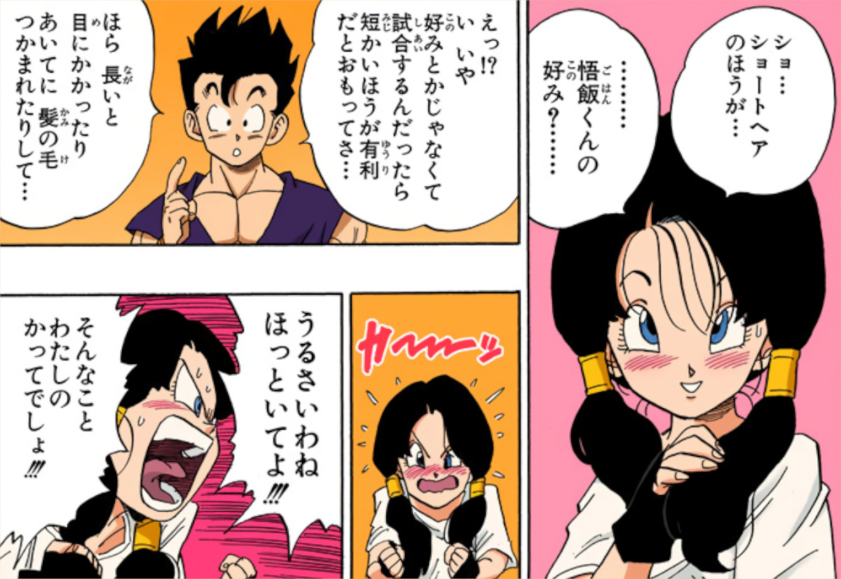 ドラゴンボールのビーデルさん、名言が「悟飯くーん」しかないｗｗｗ
