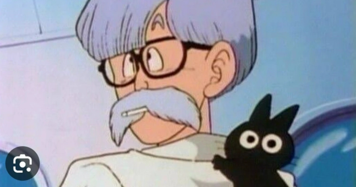ドラゴンボールのこの猫の名前、誰も知らない