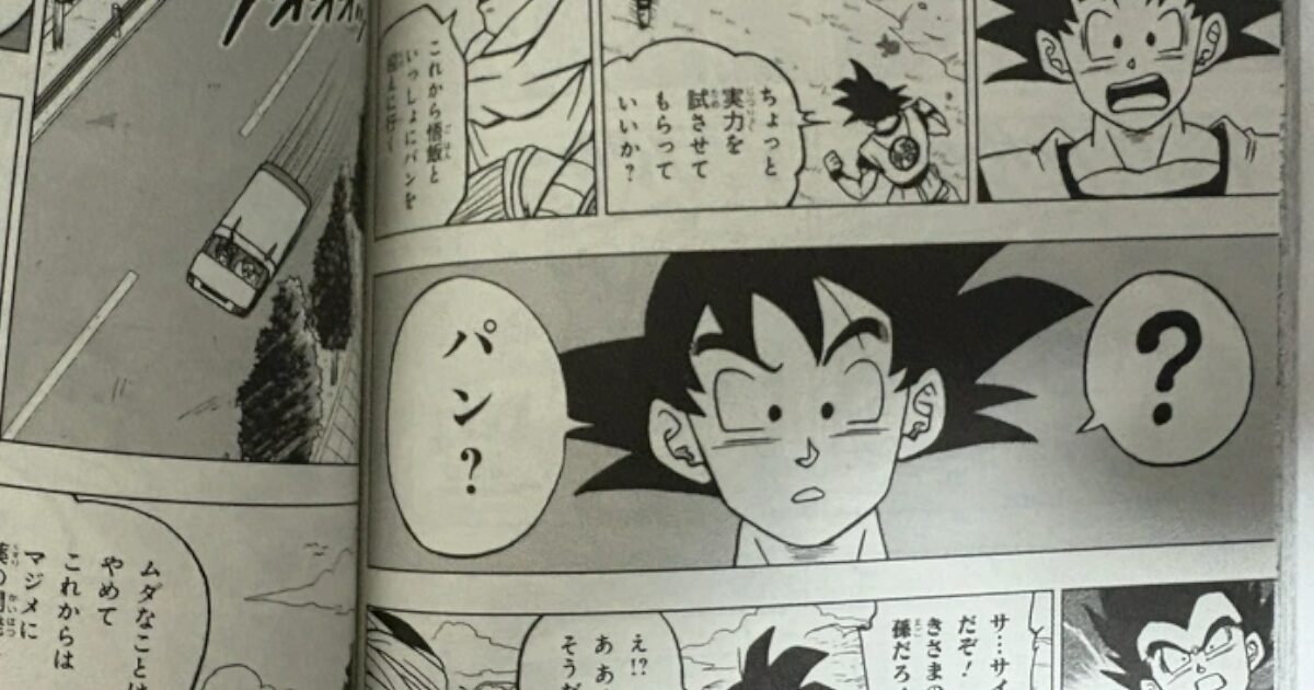 ピッコロさん「これからパンのお迎えがあるから」カカロット「パンって誰だ？？？」