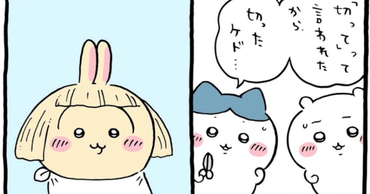 【画像】ちいかわのうさぎ、チー牛カットにされるWWWWWWWWWWWWWWWWW