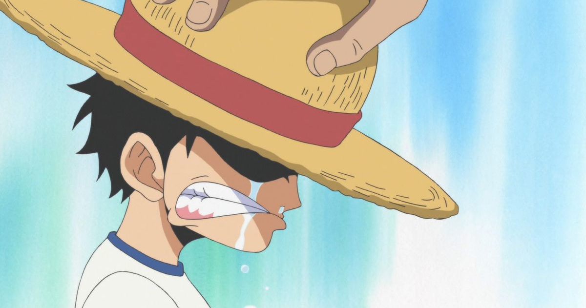 【悲報】ルフィさん、本編未登場記録を大幅更新