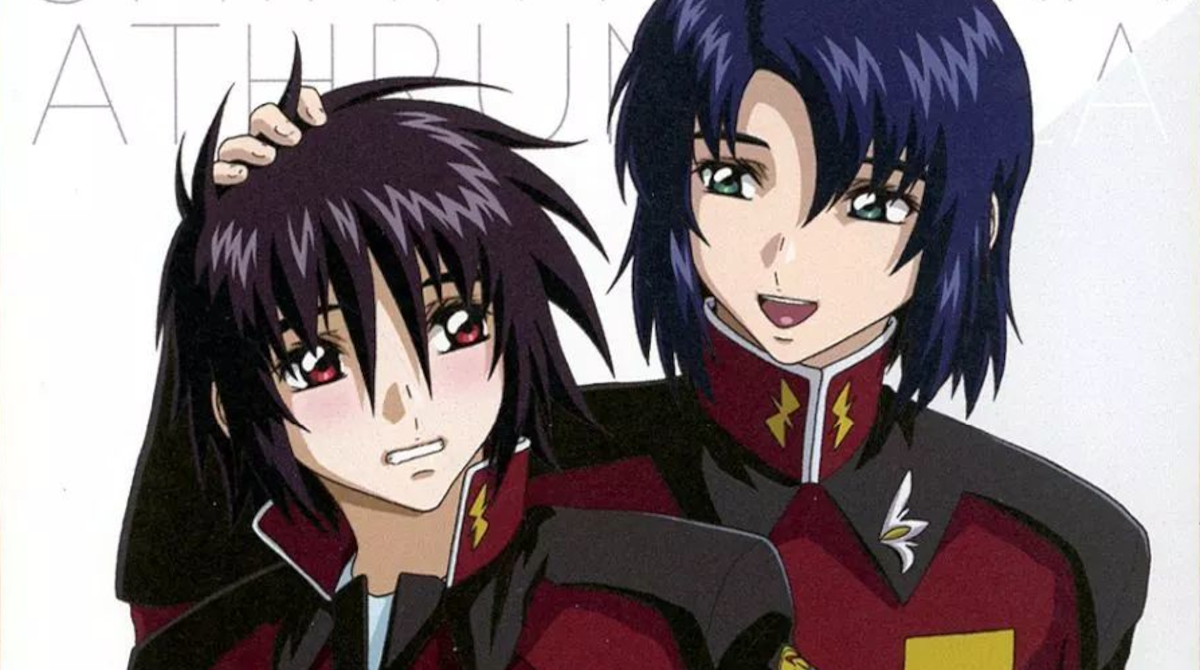 アスラン「なぜシンは俺になつかないんだ」