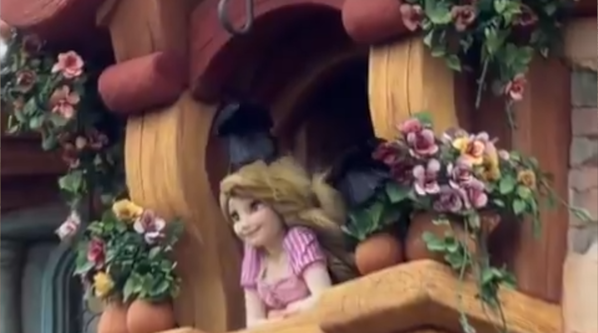【動画】塔の上のラプンツェルさん、鳥に攻撃される…